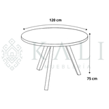 Comedor Orbit P/4